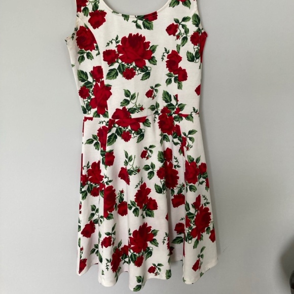 H&M Divided Rose Red and White Small US 6 Sized Skater Dress - Picture 5 of 14